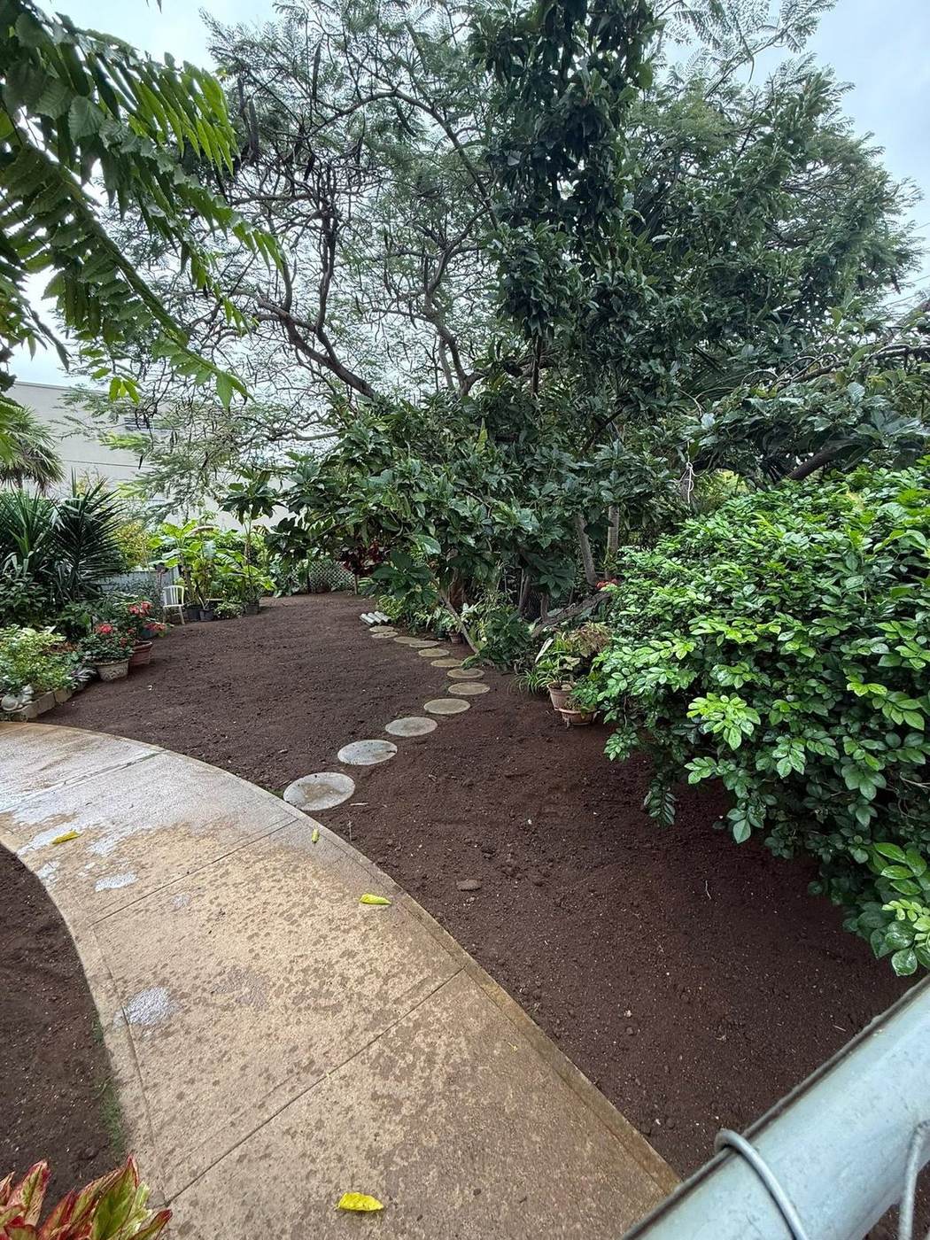 Freshly laid topsoil and stepping-stone path in a Cayman Islands garden